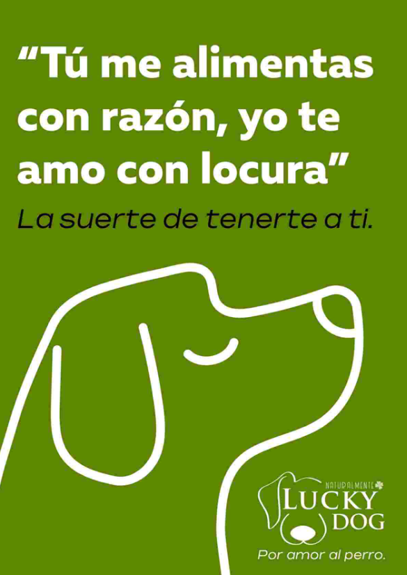 Cartel de campaña de Lucky Dog