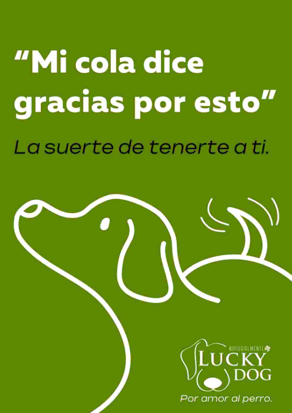 Cartel de campaña de Lucky Dog